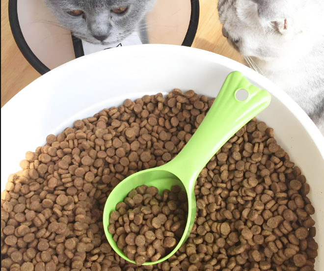 寵物食品檢驗(yàn)測試服務(wù)：全方位守護(hù)寵物飲食安全！