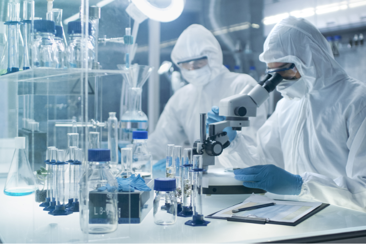 藥品質(zhì)量標(biāo)準(zhǔn)體系！