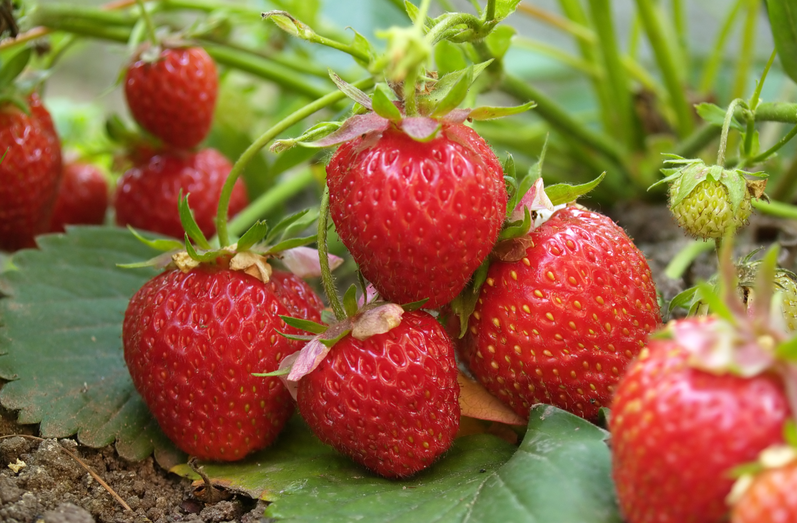 微信圖片_20250306111643_看圖王