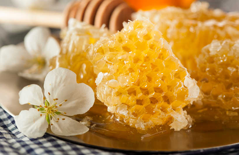 微信圖片_20250304095345